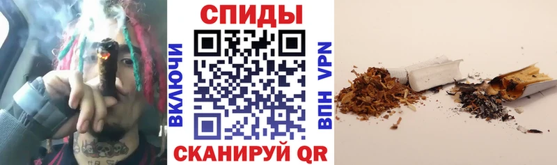 Купить  Сланцы  Бутират вода 
