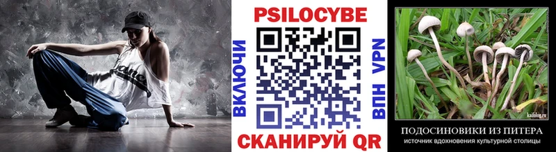 Псилоцибиновые грибы Magic Shrooms  Купить  Сланцы 